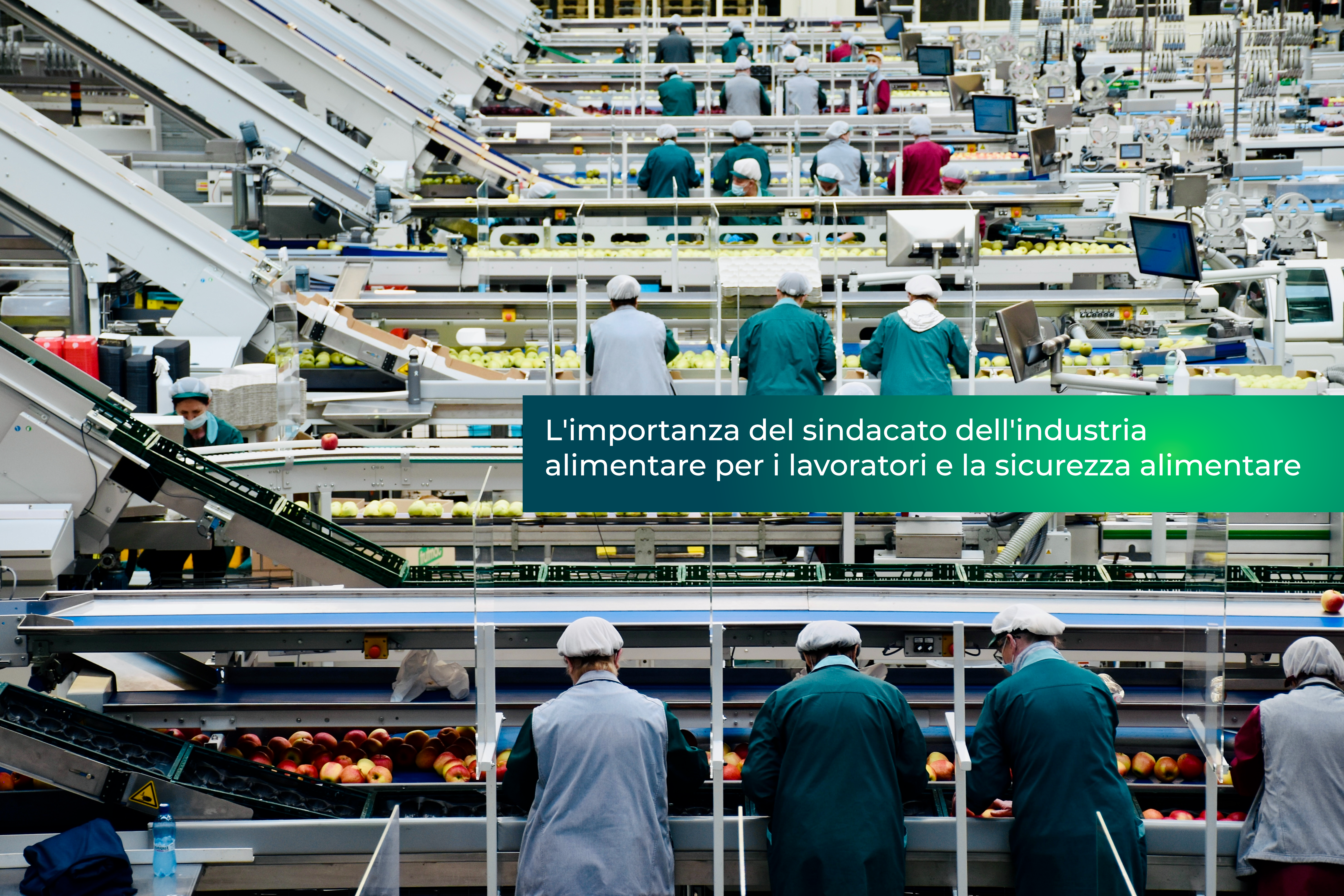L’importanza del sindacato dell’industria alimentare per i lavoratori e la sicurezza alimentare