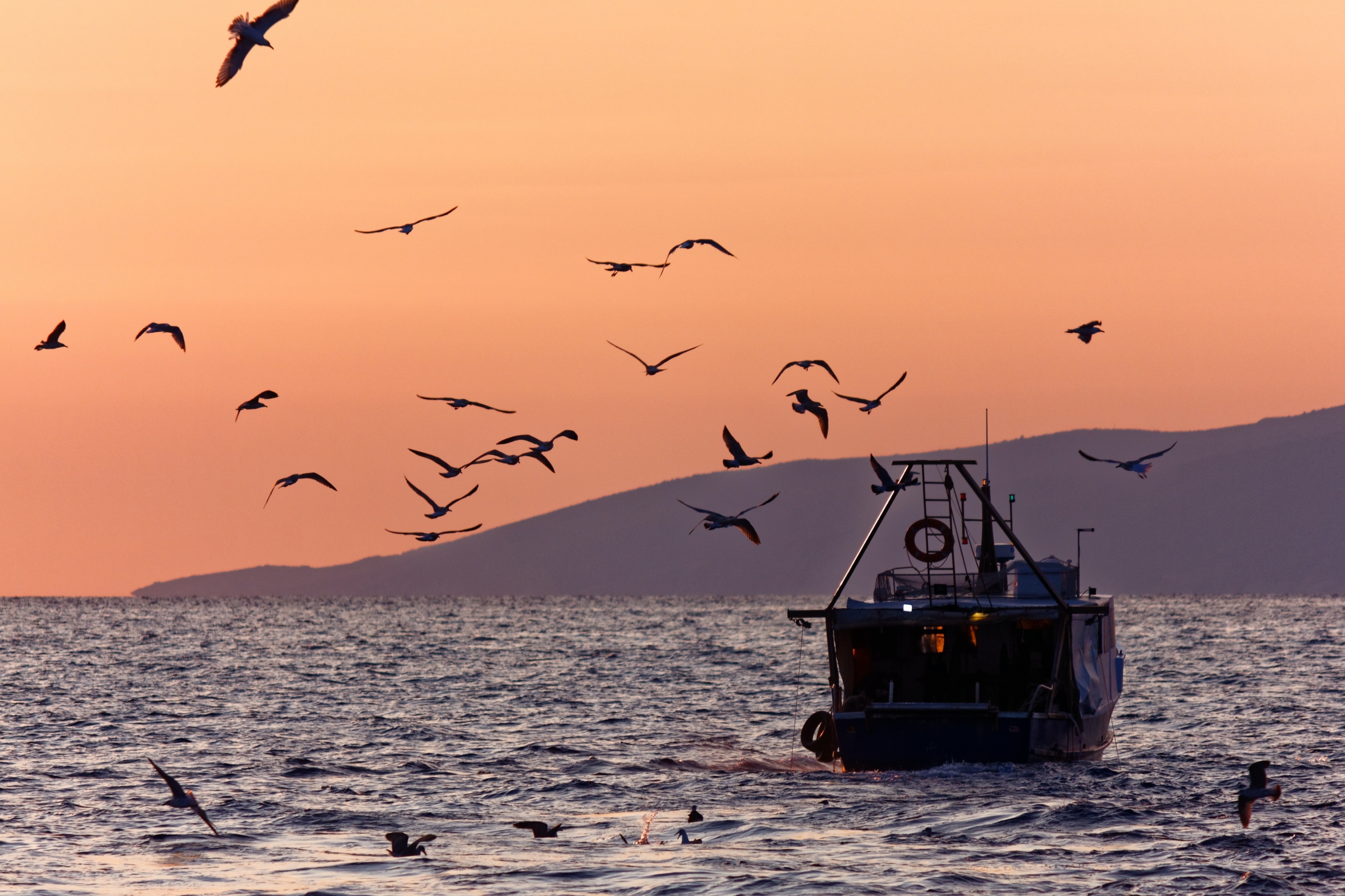 Sindacato della pesca a tutela dei lavoratori e dell’ambiente marino: una sfida per il futuro