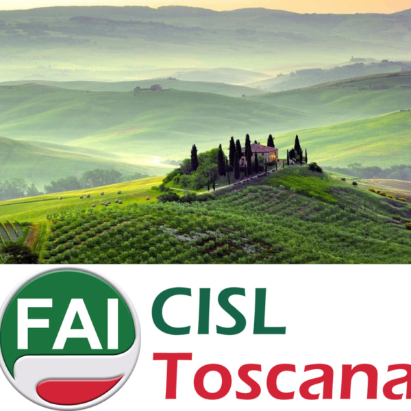 Lavoro in Toscana Opportunità e Prospettive
