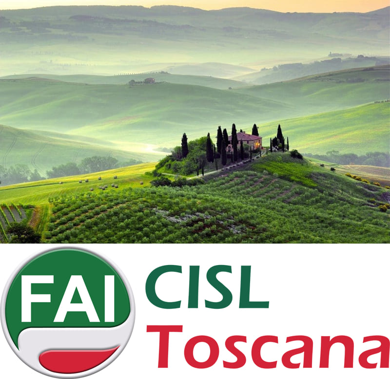 Lavoro in Toscana: Opportunità e Prospettive con il Sindacato Fai Cisl Toscana