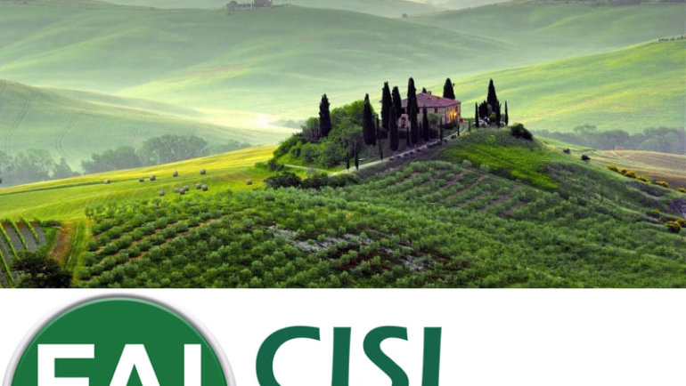 Il Sindacato Fai Cisl Toscana a Lucca: Tutela e Diritti dei Lavoratori Agricoli