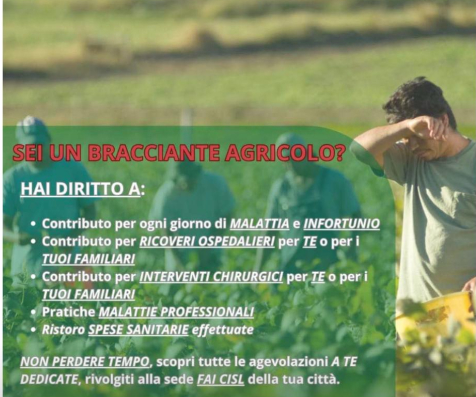 CAMPAGNA DISOCCUPAZIONE AGRICOLA 2025